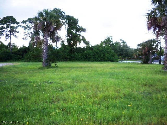 3542 Mccomb Ln., Bonita Springs, FL 34134