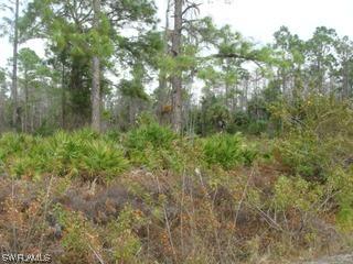 327700 21st. Sw St., Naples, FL 34117