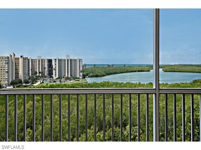 325 Dunes Blvd. #802, Naples, FL 34110