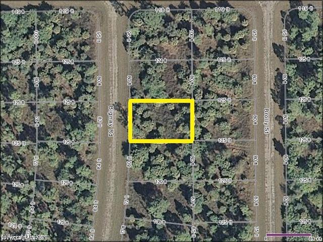 Bignay Rd., North Port, FL 34288