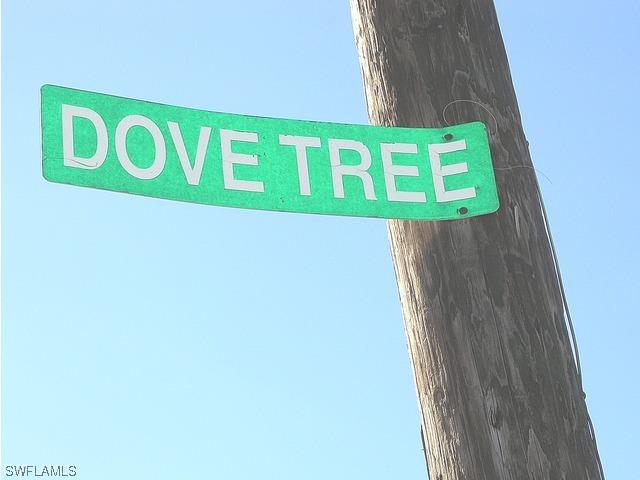 00 Dove Tree St., Naples, FL 34117
