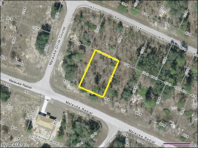 Malauka Radial Rd., Ocklawaha, FL 32179