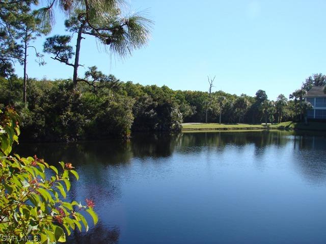 27031 Lake Harbor Ct. #201, Bonita Springs, FL 34134