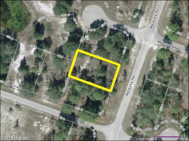 Malauka Rd, Ocklawaha, FL 32179