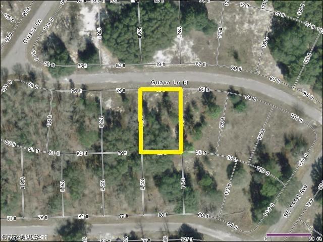 Guava Lane Place, Ocklawaha, FL 32179