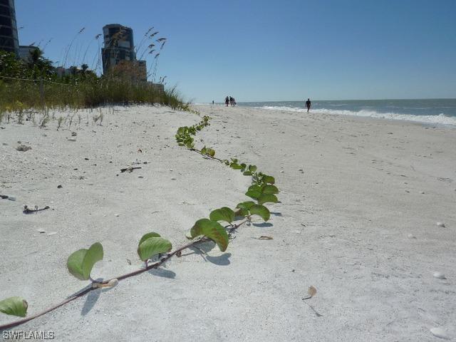 5262 Treetops Dr., Naples, FL