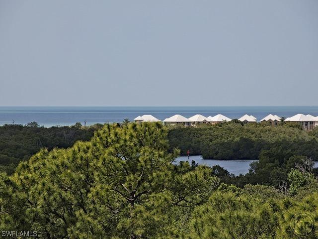 15161 Cedarwood Ln. #1701, Naples, FL