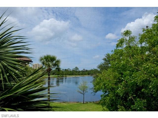 21780 Palmetto Dunes Dr., Estero, FL