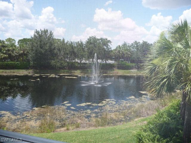 24632 Ivory Cane Dr., Bonita Springs, FL