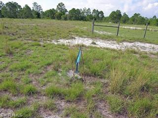 Fawn Ln., Naples, FL 34120