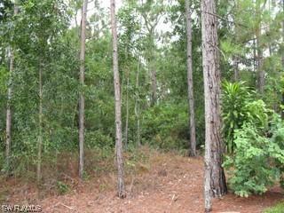 336100 Star Grass, Naples, FL 34116