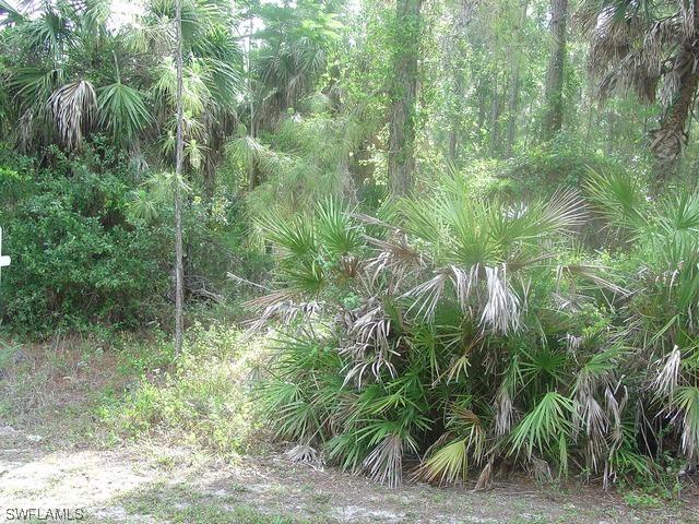 00000 29th St Sw St., Naples, FL 34117