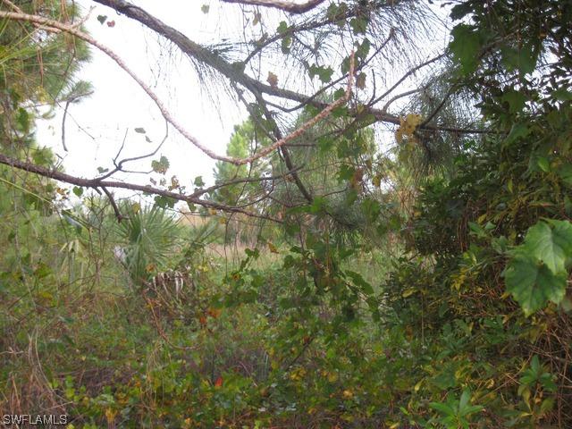 00 16th St., Naples, FL 34120