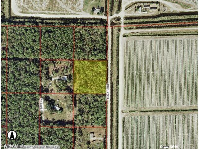 Tomato Rd., Naples, FL 34114