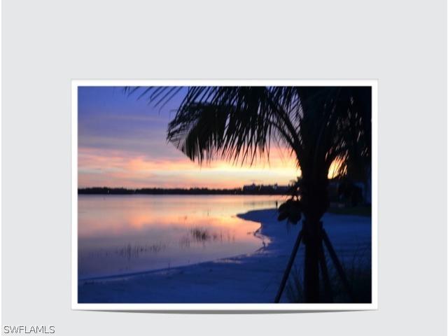 11735 Via Savona Ct., Miromar Lakes, FL 33913