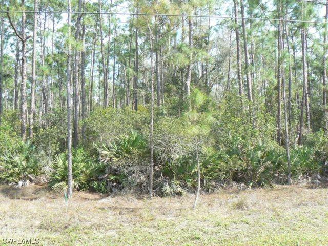 24609 Amarillo St., Bonita Springs, FL 34135