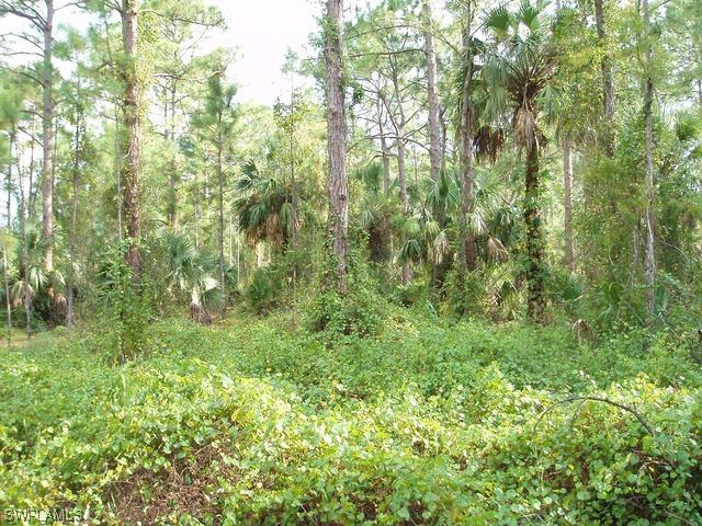 22nd Ave., Naples, FL 34117