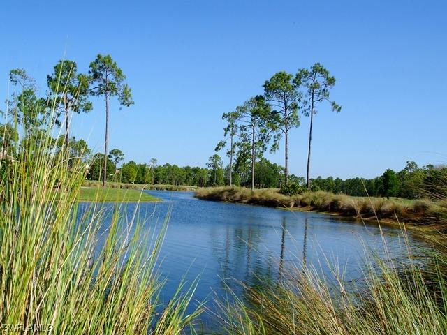 3119 Indigobush Way, Naples, FL