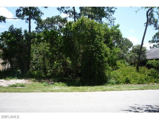 27311 Tortoise Tr., Bonita Springs, FL 34135