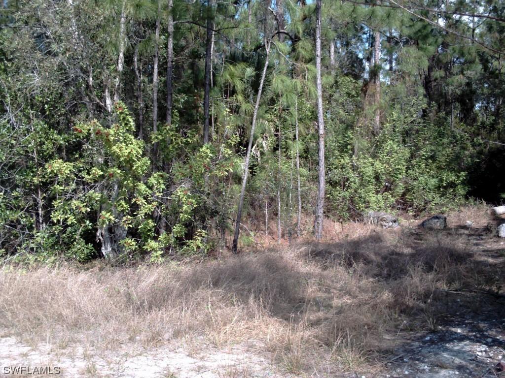 25607 Moriah Ln., Bonita Springs, FL 34135