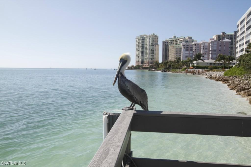 1036 S Collier Blvd. #601, Marco Island, FL 34145