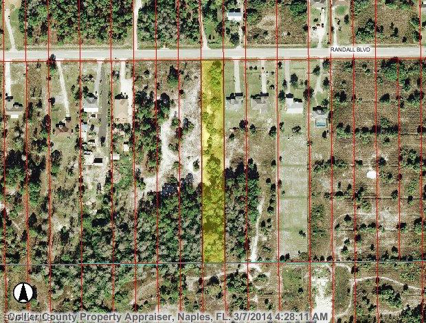 Randall Blvd, Naples, FL 34120