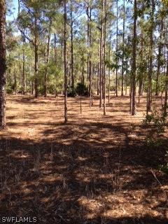 906 Moore Ave., Lehigh Acres, FL 33972