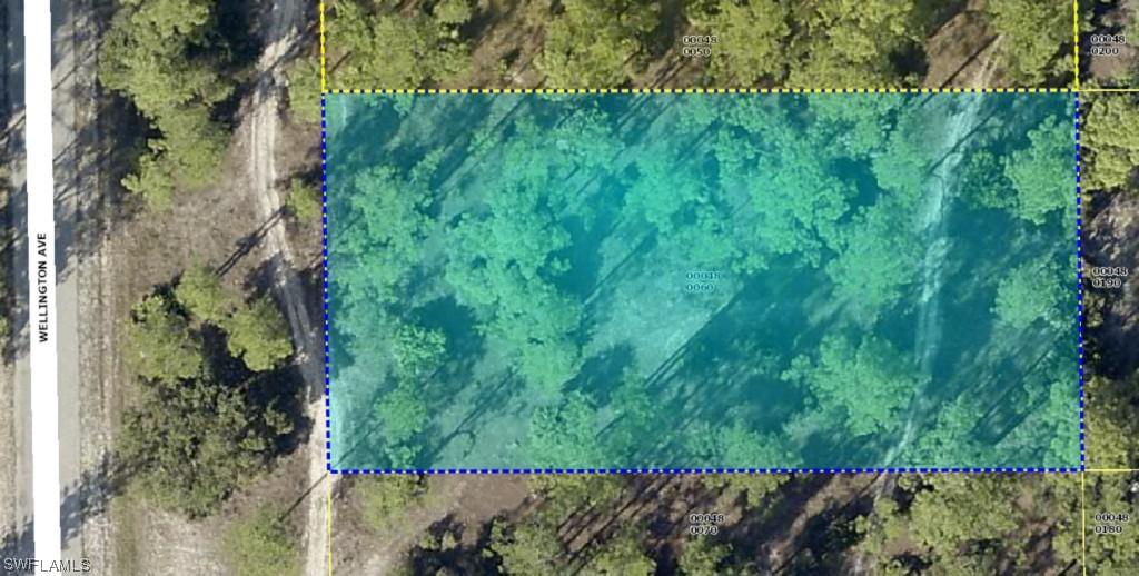 2314 Wellington Ave., Alva, FL 33920