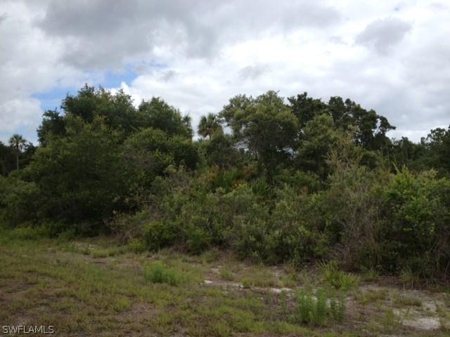4199 29th St., Alva, FL 33920