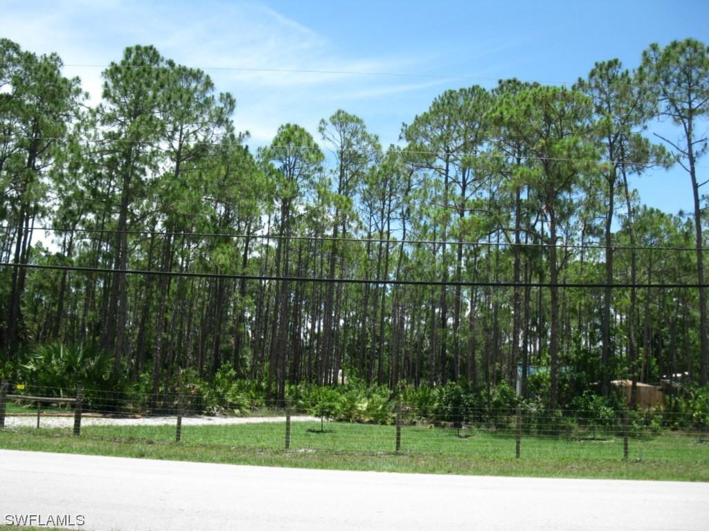 25505 Luci Dr., Bonita Springs, FL 34135