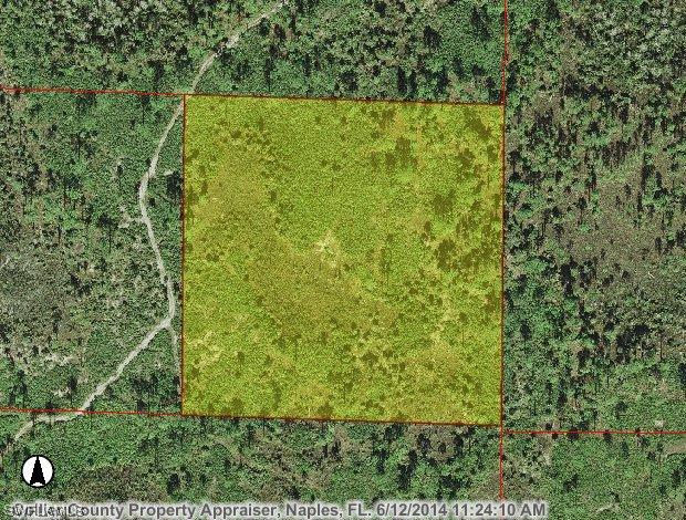 Acerage, Naples, FL 34114