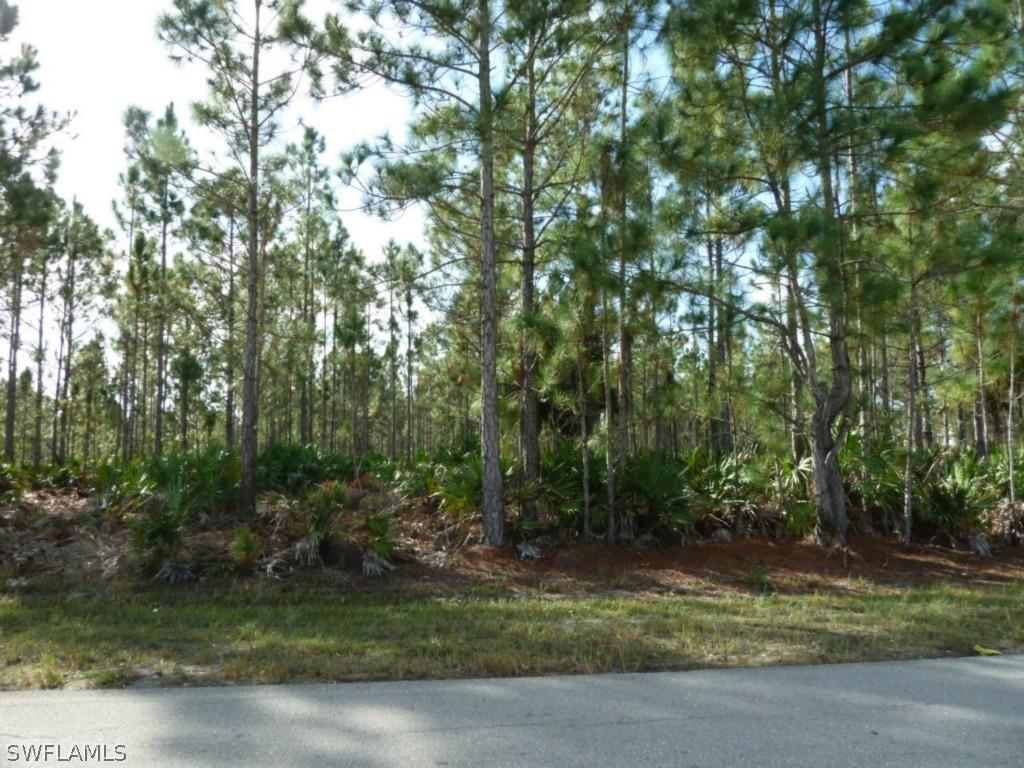 1903 W 10th St., Lehigh Acres, FL 33972