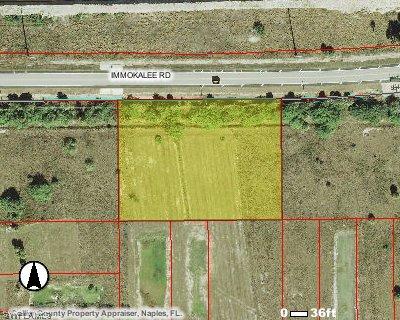 Immokalee Rd., Naples, FL 34120