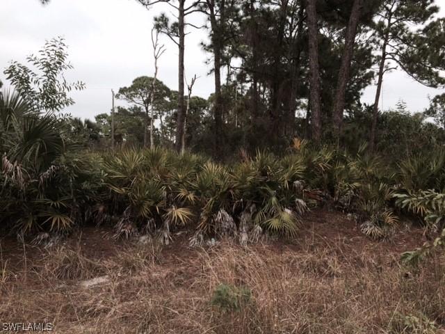 4650 Catalina Ln., Bonita Springs, FL 34134