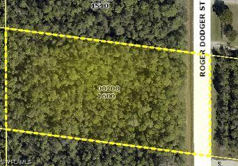 24166 Roger Dodger St., Bonita Springs, FL 34135