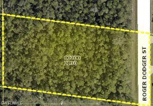 24200 Roger Dodger St., Bonita Springs, FL 34135