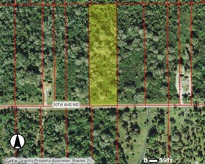 10th Ave., Naples, FL 34120