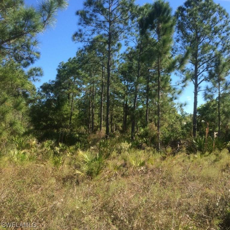 Everglades Blvd., Naples, FL 34120