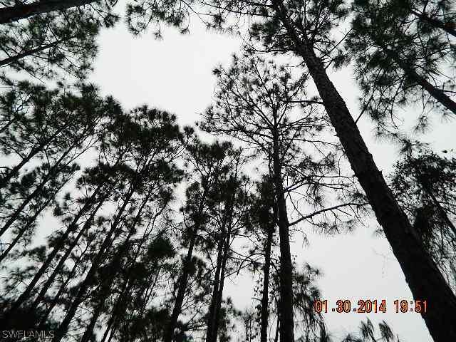 1215 Ecclesia St., Lehigh Acres, FL 33974