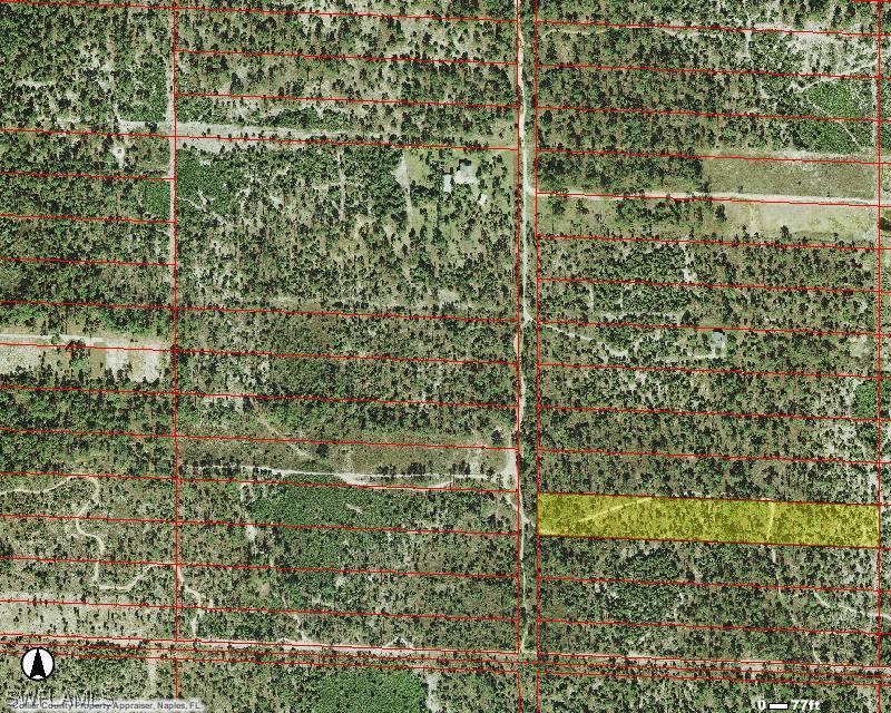 Ivy Way, Naples, FL 34117