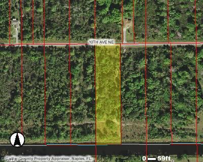 10th Ave., Naples, FL 34120