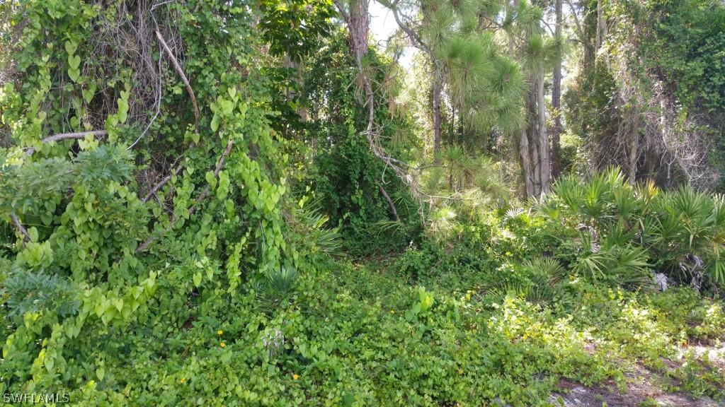 18221 Hepatica Rd., Fort Myers, FL 33967