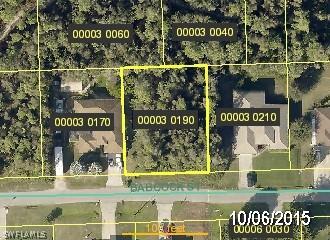 6655 Babcock St., Fort Myers, FL 33966