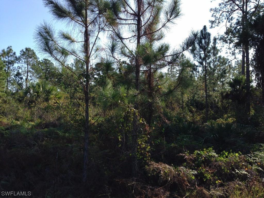 1110 Everglades Blvd., Naples, FL 34120