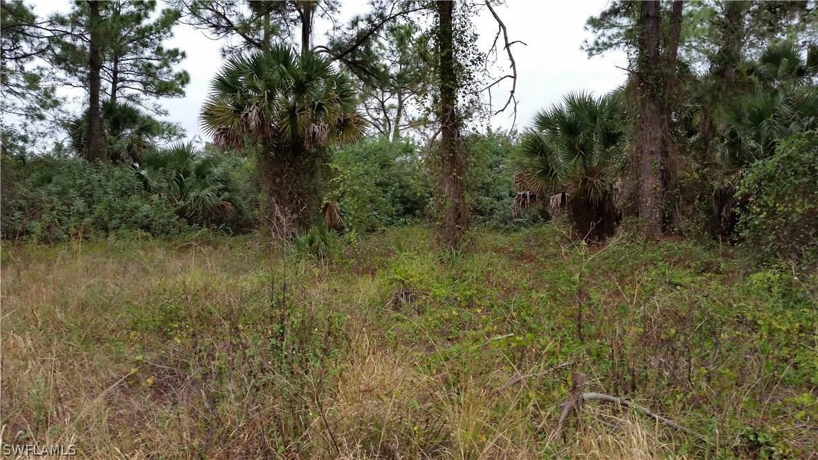 1019 Asther St., Lehigh Acres, FL 33974