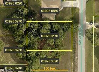 346 SW 25th Pl., Cape Coral, FL 33991