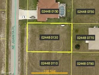 1313 NE Juanita Pl., Cape Coral, FL 33909