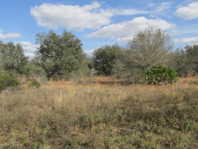 SE Stallings Ter., Arcadia, FL 34266