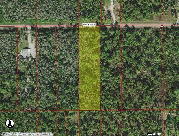 16th Ave., Naples, FL 34117
