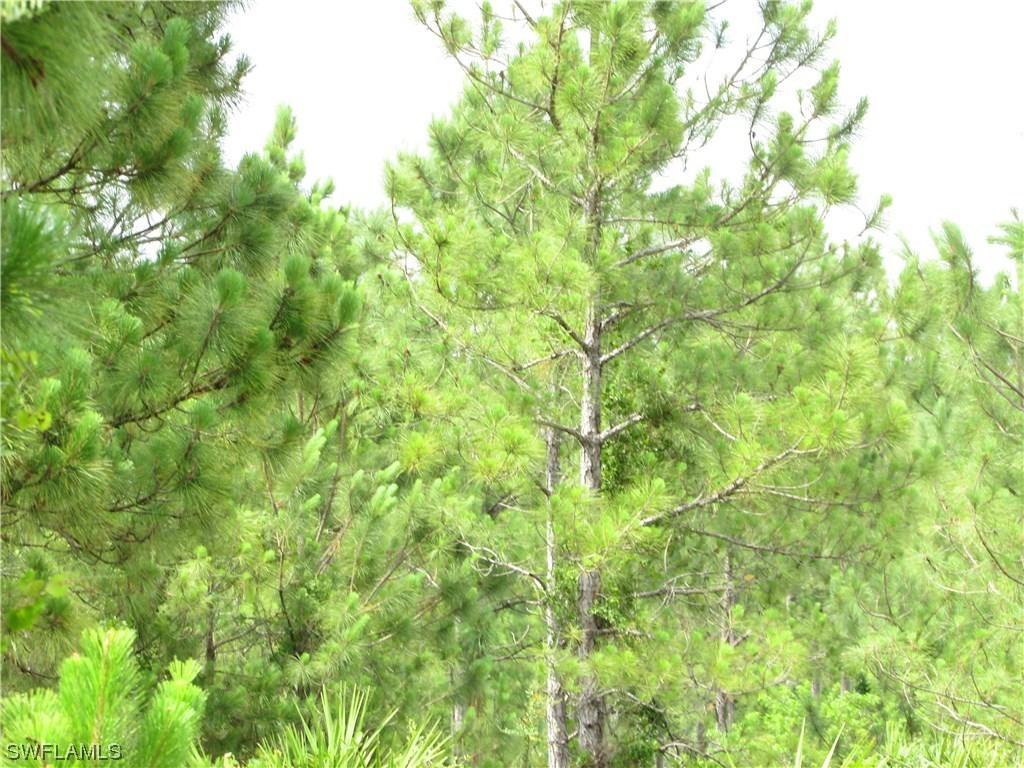 ~4095 Randall Blvd., Naples, FL 34120